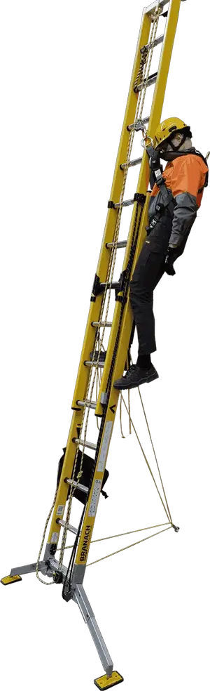 Fall Protection Extension Ladders: Euro EN795 Fall Control System by Branach